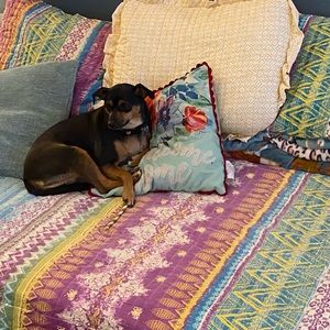 Meet your Posher, Sherri